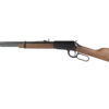 HENH001T-22_1.jpg HENRY H1 FRONTIER 22LR 20" 16RD