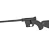 HENH002B_3.jpg HENRY H2 US SURVIVAL 22LR AUTO BLK