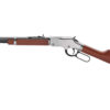 HENH004SY_1.jpg HENRY H4 GLDN BOY SLVR CMPT 22LR