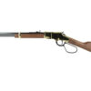 HENH004VL_1.jpg HENRY H4 GOLDEN BOY LL 17HMR 20"