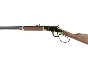 HENH004VL_1.jpg HENRY H4 GOLDEN BOY LL 17HMR 20"