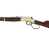 HENH006GCL_1.jpg HENRY H6 BIG BOY LL 45C 20" 10RD