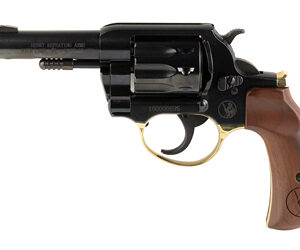 HENH016BD_1.jpg HENRY H16 GLDN RVLVR 22LR 10RD 4" BH