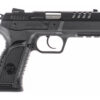 IFG TANFOGLIO HXGN P 9MM 4.45" 17RD