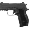 KIM3600006_1.jpg KIMBER CDS9 9MM 15RD 3.18" OR BLK