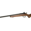 KSA CRICKETT G2 22LR WLNT BL BBL