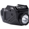 VIRIDIAN C5L LIGHT/GRN LSR 650 LUM