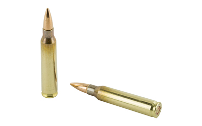 MAGTECH CBC M193 556NATO 55GR FMJ 50