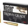 NOS60059_1.jpg NOSLER 300WIN 180GR AB 20/200
