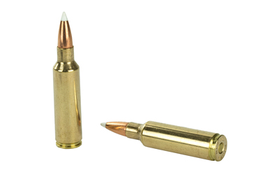 NOSLER 300WSM 180GR AB 20/200