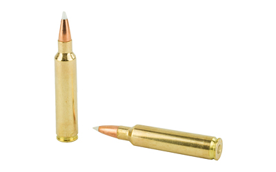 NOSLER 30NOS 180GR AB 20/200