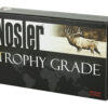 NOSLER 30NOS 210GR ABLR 20/200
