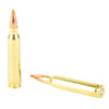 NOS61025_4.jpg NOSLER 223 REM 55GR BT 20/200