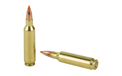 NOSLER 22NOS 55GR BT 20/200