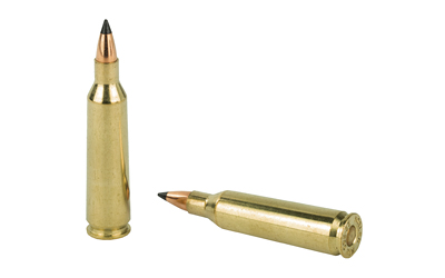 NOS65155_4.jpg NOSLER VG 22-250 55GR FB TIP 20/200