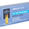 PPUPP22250_2.jpg PPU 22-250REM SP 55GR 20/200