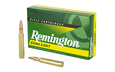 REM21415_1.jpg REM 30-06 165GR PSP CL 20/200