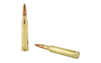 REM 25-06REM 120GR PSP CL 20/200
