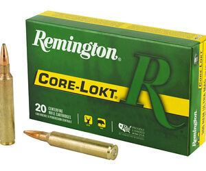 REM27641_1.jpg REM 300RUM 180GR CL 20/200