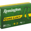 REM27641_2.jpg REM 300RUM 180GR CL 20/200