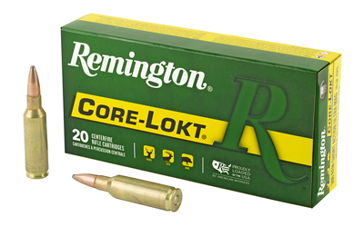 REM27954_1.jpg REM 300RSAUM 165GR PSP CL 20/200