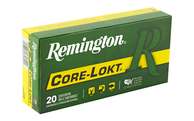 REM27954_2.jpg REM 300RSAUM 165GR PSP CL 20/200