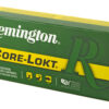 REM27954_3.jpg REM 300RSAUM 165GR PSP CL 20/200