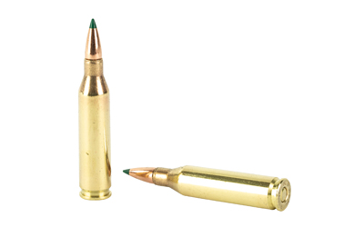 REM29015_4.jpg REM 243WIN 95GR CLOK TIPPED 20/200
