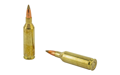 REM29165_4.jpg REM PRMR ACCU 17FIREBALL 20GR 20/200
