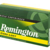 REM29493_3.jpg REM 264WIN MAG 140GR PSP CL 20/200