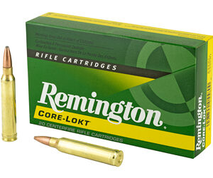REM29497_1.jpg REM 300WIN 180GR PSP CL 20/200