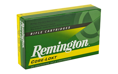 REM 300WIN 180GR PSP CL 20/200