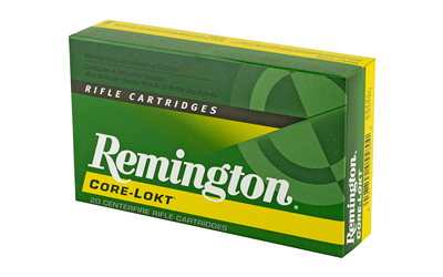 REM 300WIN 180GR PSP CL 20/200