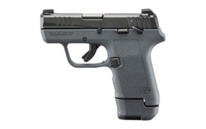RUG23702_1.jpg RUGER LCP MAX 380ACP 13RD EHG TS GRY