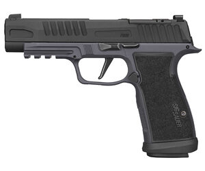 SG365AXGF-9-GYFO_1.jpg SIG P365AXG FUSE 9MM 21RD BLK/GRY