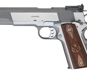 SPRGFLD 9MM TARGET STS AS CA
