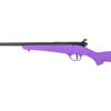 SAV RASCAL 22LR 16 1/8" PURPLE