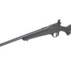 SAV RASCAL F-SR 22LR 16" BLACK