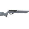SAV RXR22 22LR 16.5" 10RD GRAY/BLK