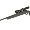 SAV AXIS 2 XP CMP 223REM 20" 4RD GRY