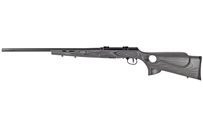 SV47005_1.jpg SAV A17 TRGT LAM THMBHLE 17HMR 22"