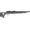 SV47005_2.jpg SAV A17 TRGT LAM THMBHLE 17HMR 22"