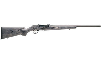 SV47008_1.jpg SAV A17 SPORTER 17HMR 22" 10RD LAM
