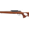 SAV A22 TIMBER 22LR 18" TB 10RD WOOD