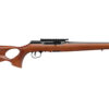 SAV A22 TIMBER 22LR 18" TB 10RD WOOD