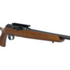 SAV A22 TIMBER 22LR 18" TB 10RD WOOD