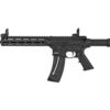 SW10208_1.jpg S&W M&P15-22 22LR 16.5" 25RD BLK