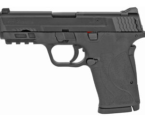 SW12437_1.jpg S&W SHIELD 2.0 EZ 9MM 8RD NTS BLK