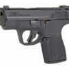 SW13558_3.jpg S&W SHIELD PLUS 9MM 3.1" NTS 10RD OR
