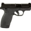 S&W BDYGRD 2.0 380ACP 2.75" 12RD TS